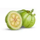 Weight Herbal Lose Weight Herbal Extract Hydroxycitric Acid Hca Garcinia Cambogia Extract Powder