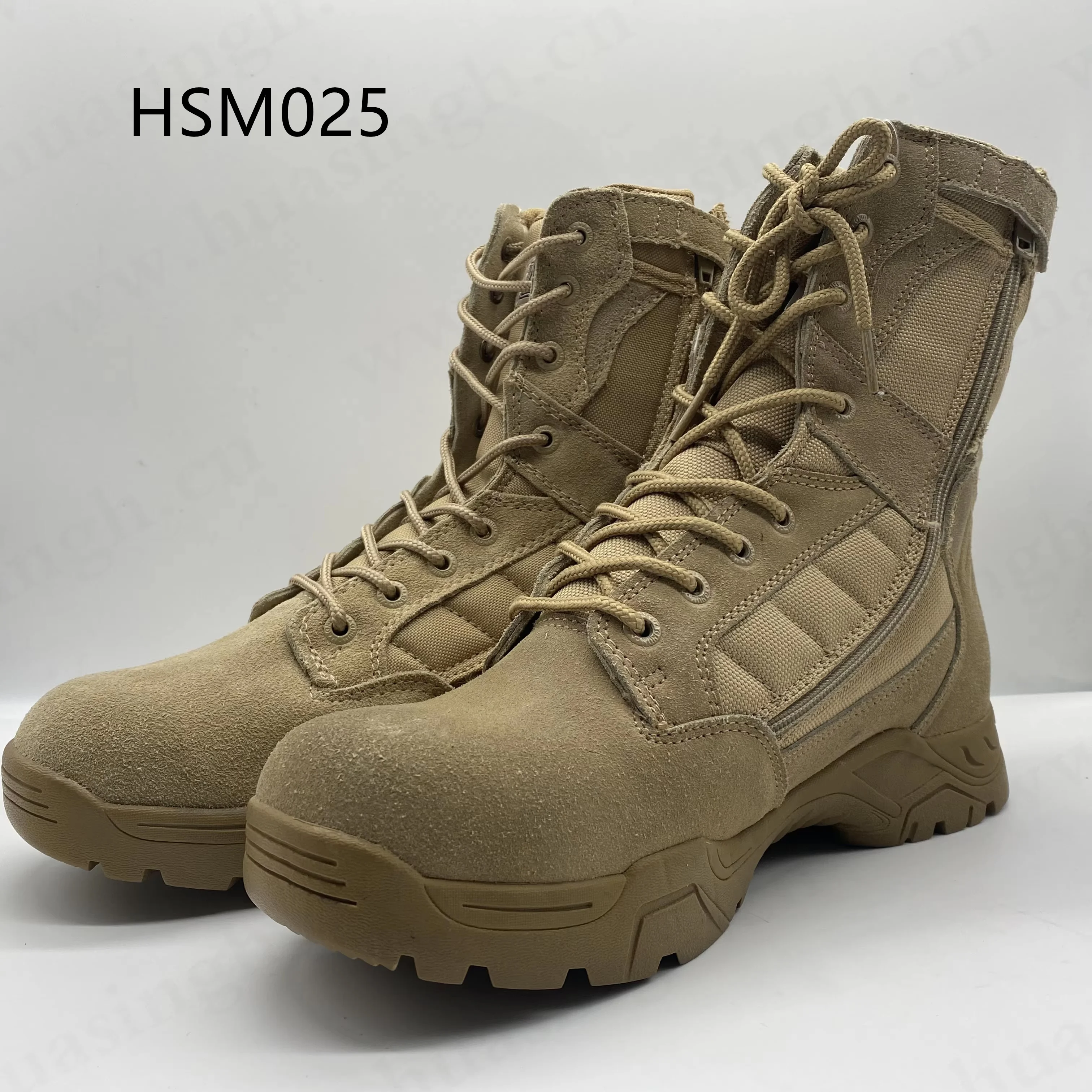 HSM025