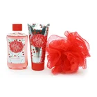 Quality Care High Quality Custom Body Care Bath And Body Work Body Lotion Women Spa Kit