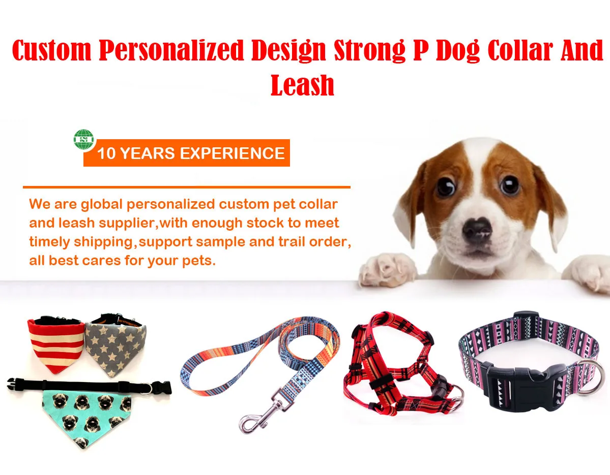 and a detailed description for a blog post or article on "Pet Safe Bark Collar":