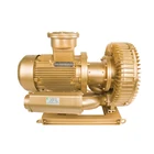 Pump Side Customized GOORUI Explosion-proof Pump Side Channel Ring Air Blower