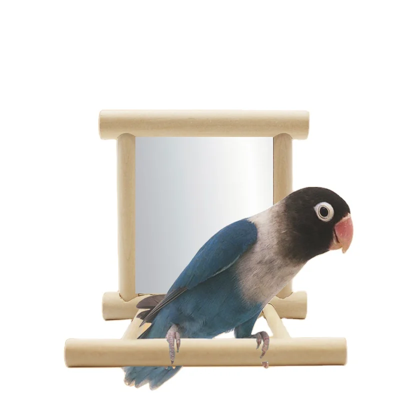 parrot wholesale supplies