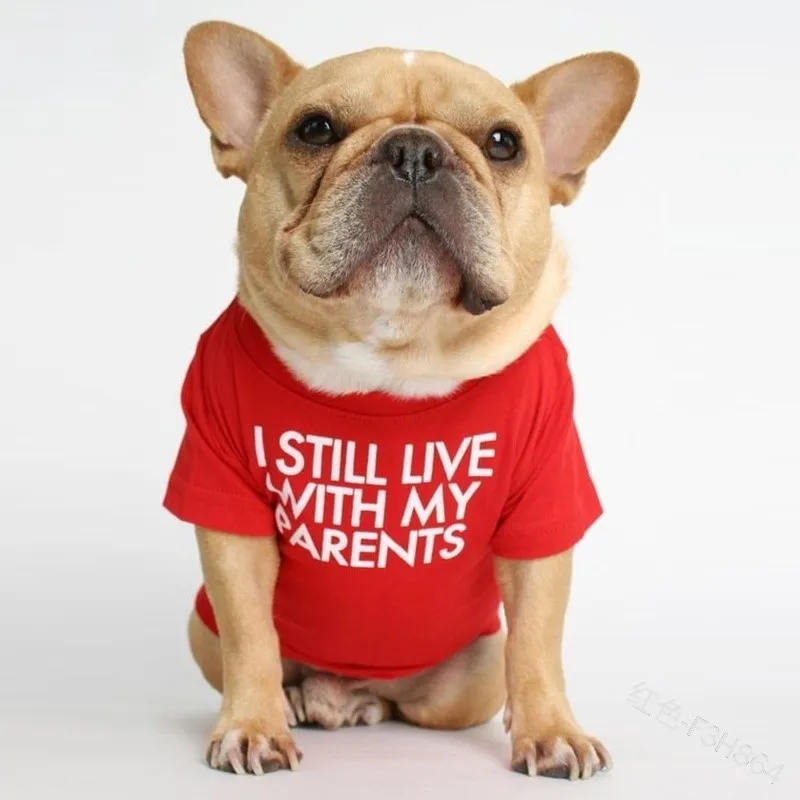 Dougez Summer Cute Pet Dog Clothes Thin T-shirt Cotton Dog Clothes Pet Clothes Teddy Wearing Vest supplier