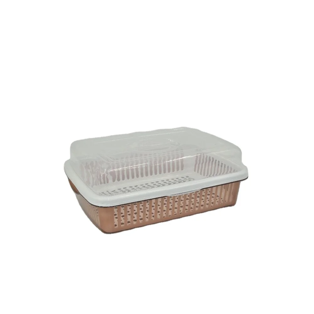 China factory wholesale kitchen utensil storage holder dinnerware drying box plastic plate dish rack with cover