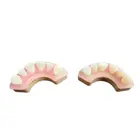 Model OEM High Quality 3D Printing Resin Tooth Teaching Dental Model