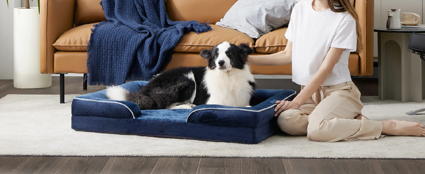 dog bed5