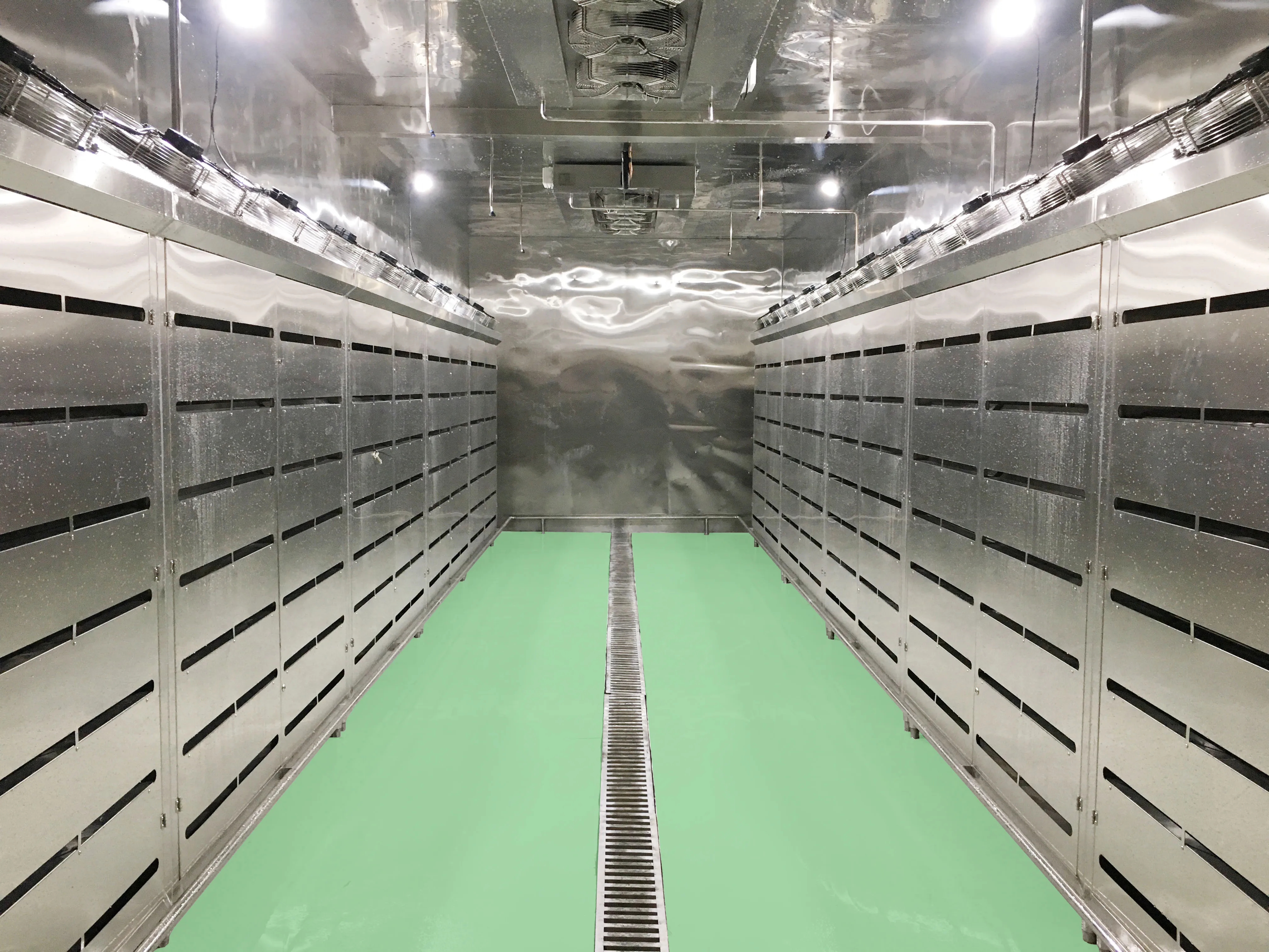 Thawing Equipment, 220V, 500 to 3000 kg - detail 6