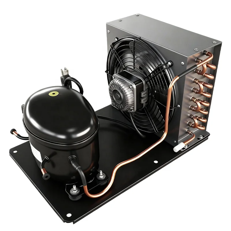 Condensing Unit, NT6220Z, 220V, R134A, 20-+5 - detail 6