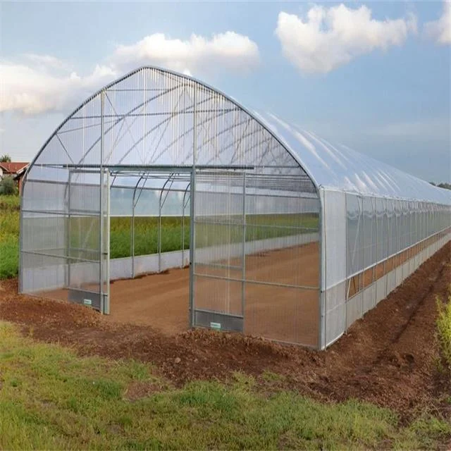 single span greenhouse 76