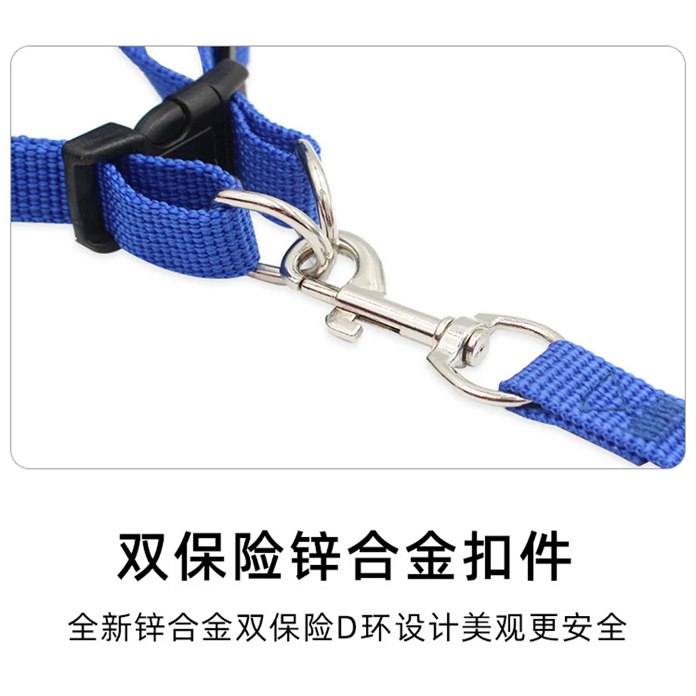 rust proof polyester dog leash in blue colour