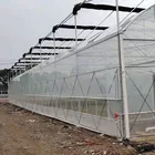 Film Pe Film Greenhouse Vegetable Greenhouse Plastic Film Dark Light