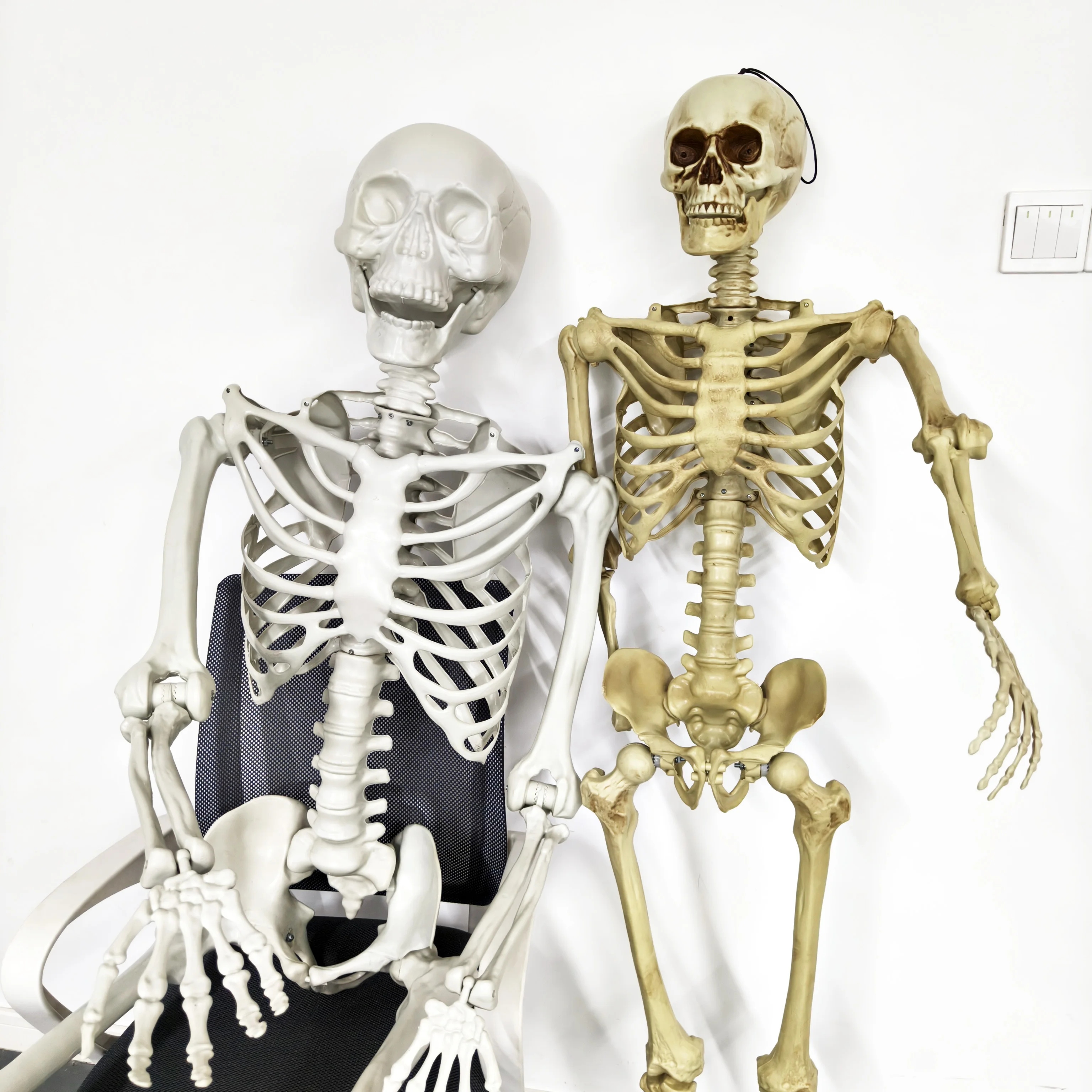 Large High Quality Life Size Halloween Decorations Props Animated Human Movable Joints Skeleton