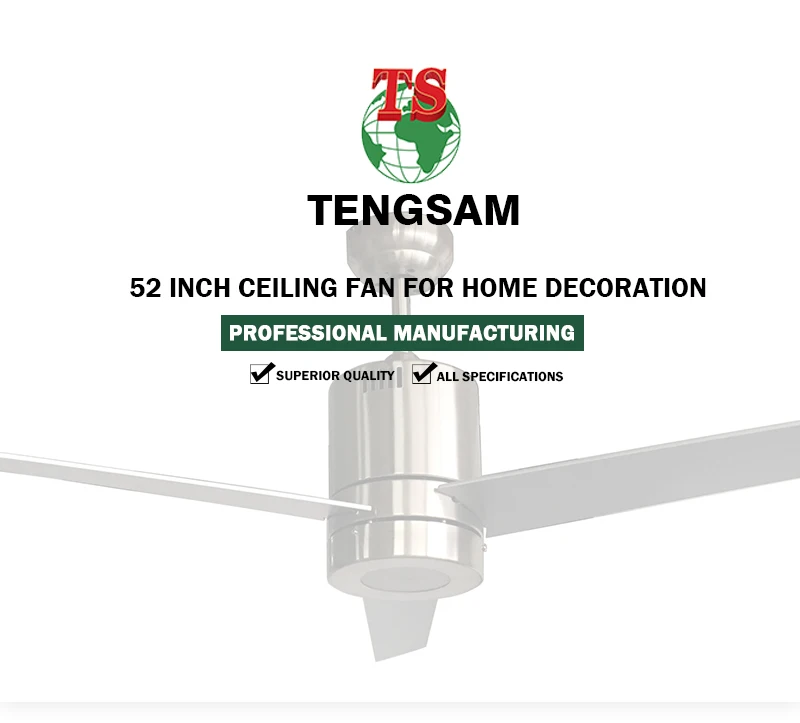 Ceiling Fan, 12v, 220v - detail 2
