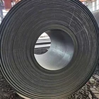 Steel Strip Steel The King Of Quantity Durable In Use Stainless Steel Strip