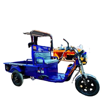 2023 New 1200W Electric Cargo Tricycle Heavy Duty 3-Wheel Tricycles High-Speed 60V/50ah Made in China