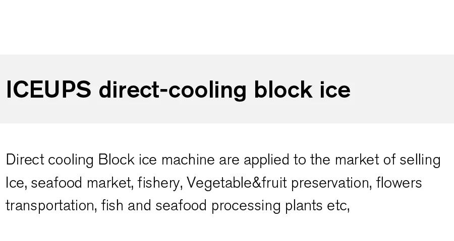 Ice Machines, ICEUPS, 10000kg - detail 8