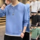 100% Cotton Sweatshirt Sweatshirt Supplier OEM Service 100% Cotton Men Long Sleeve Sweatshirt Without Hood
