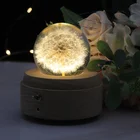 3d Led Lamp 2021 Christmas Gift Dandelion 3D Crystal Ball Night Light Battery Wood Base Led Mood Lamp With Music Box