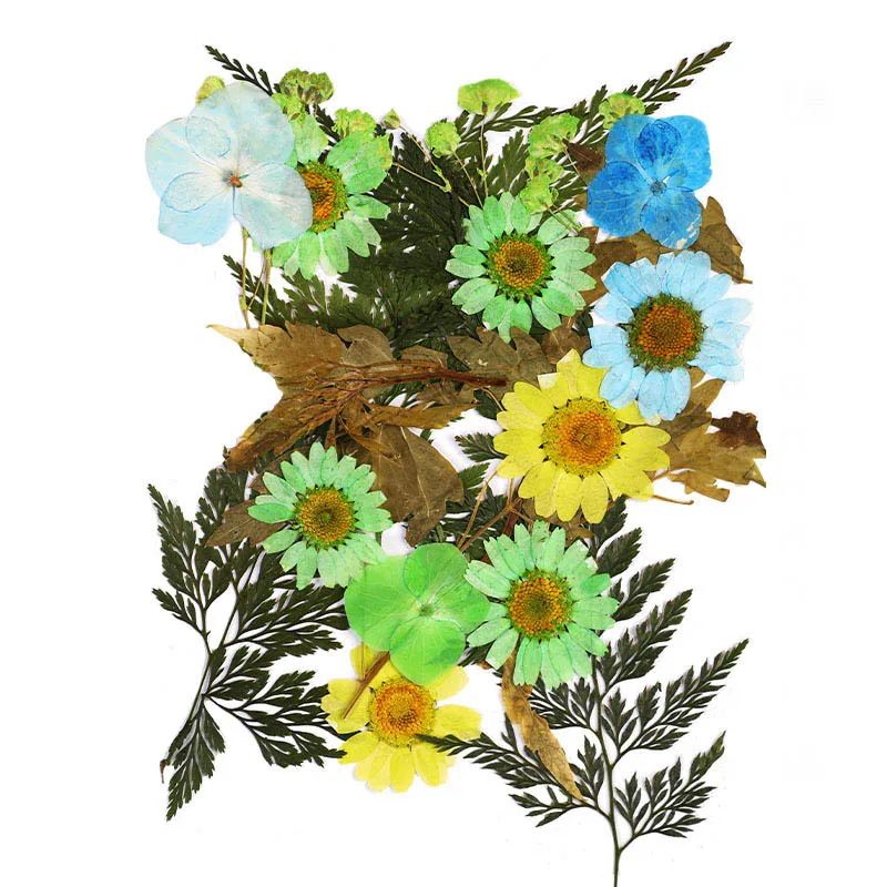 Handmade DIY Dried Flower Leaf Bookmarks Set