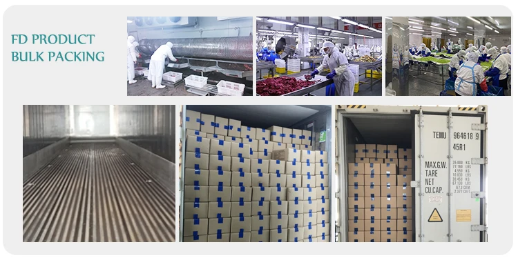 Wholesale Freeze Dried Apple FD Fruit Chips Crispy Snack Slices manufacture