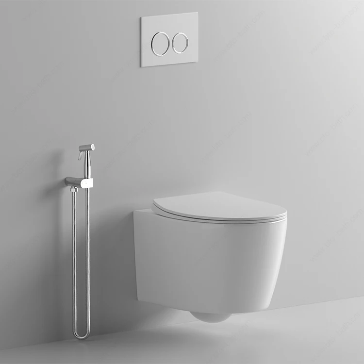 Modern Sanitary Hidden Water Tank Rimless Toilet Concealed Cistern Wall