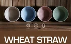 Bowls Unbreakable Cereal Salad Soup Bowls - Wheat Straw Bowls 16 OZ Lightweight Bowls 4 Pcs For Camping