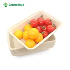 Bamboo Fiber Wholesale 500ml Bamboo Fiber Environmental Protection Disposable Rectangular Lunch Box