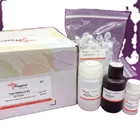 Research Animal Provide High Quality Research Reagent Total RNA Kit Animal Tissue Extraction Kit