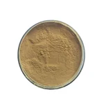 Care Herbs Health Care Figwort Root Extract Natural Herbs