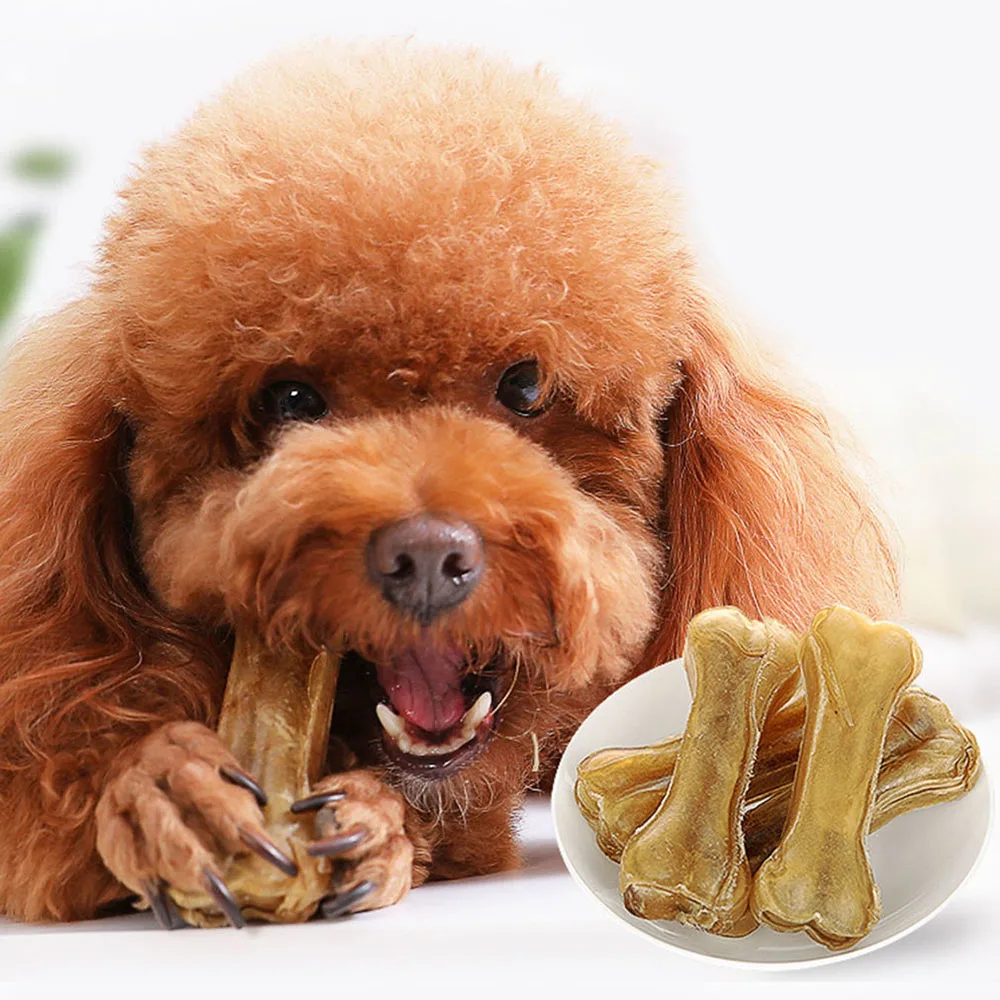 are bones safe for poodle puppies