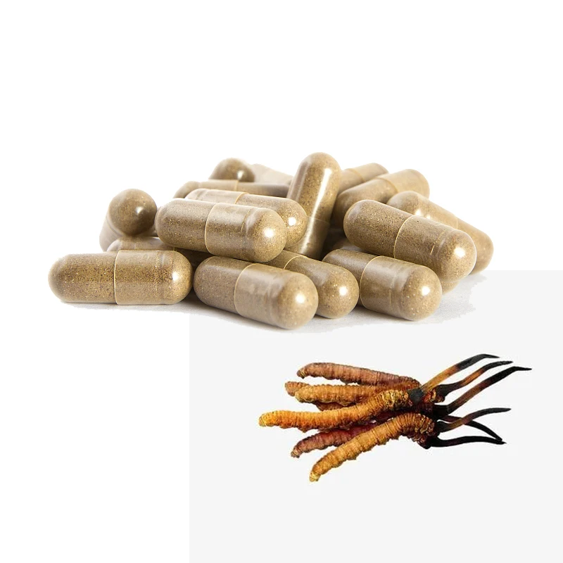 High Quality Cordyceps Sinensis Mushroom Extract Powder Cordyceps