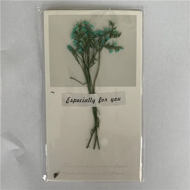 new styles dried flowers greeting cards