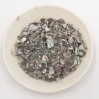 Shell Abalone Chinese Herbal Medicine The Shell Of Abalone Or Sea-Ear