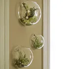Glass Plant Glass Glass Plant Terrarium China Made Geometric Clear Glass Plant Terrarium With Good Service