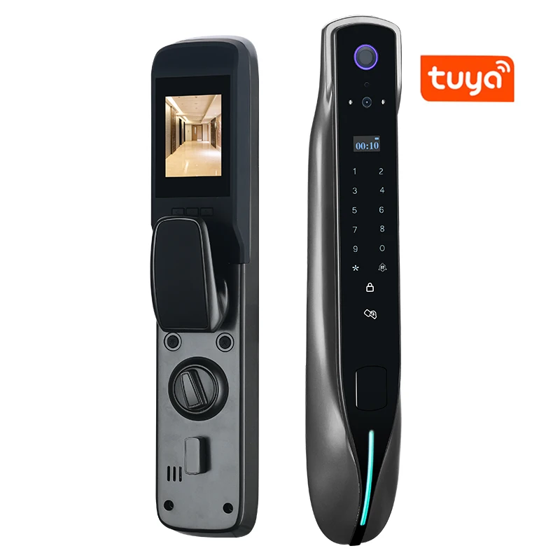 remote control cat door