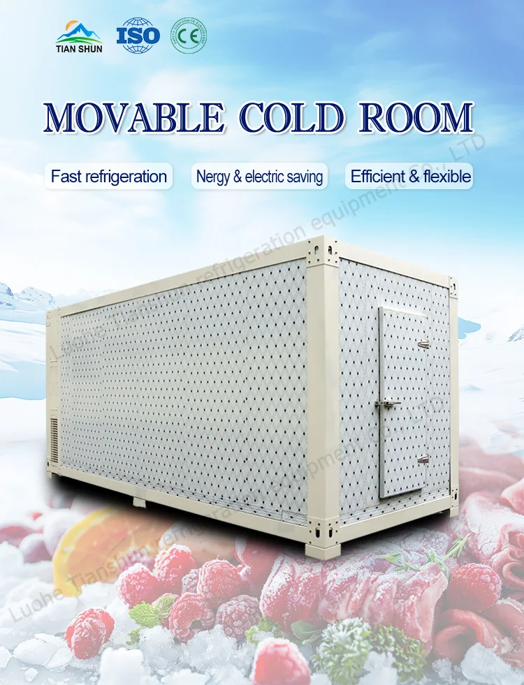 Modular Cold Room Freezer, 110V~480V - detail 2
