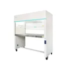 Laminar Air Flow Clean Bench For Laboratory