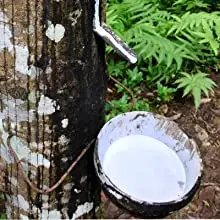 100% natural rubber, safe and non-toxic
