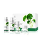 Skin Private Label Organic Centella Repair Acne Moisturizing Skin Care Set