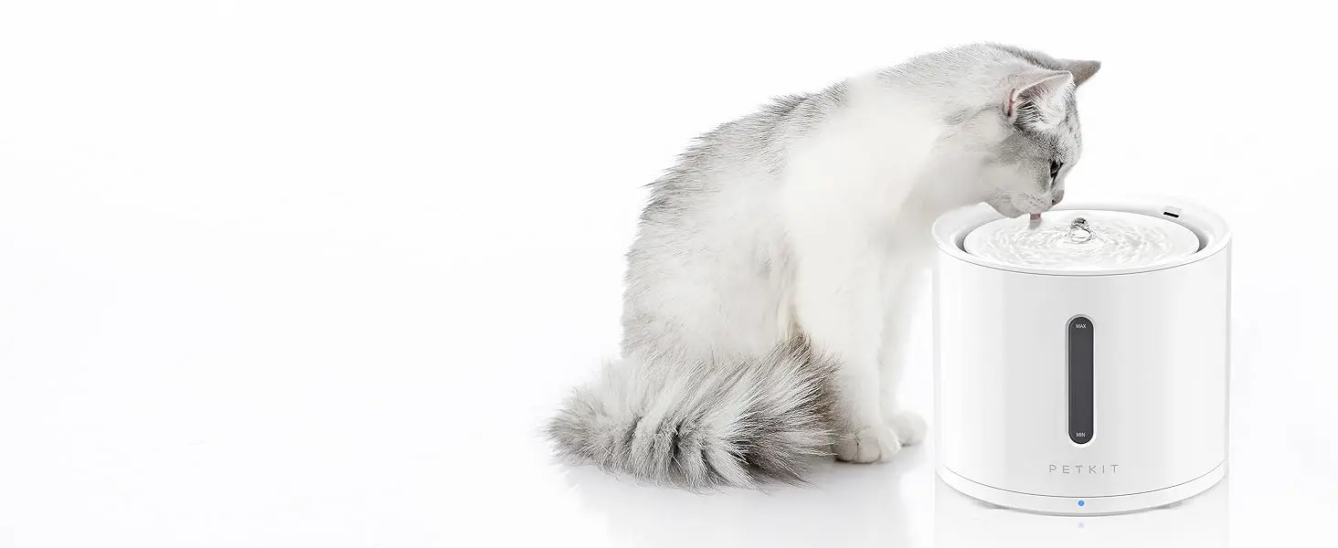 petkit cat water fountain with wireless pump