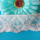 Trimming Cotton Embroidery On Mesh Lace Trimming
