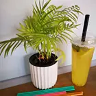 Customised 100% Biodegradable Eco-friendly Sugarcane PLA Straw For Drinking Juice