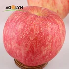 Fruits Fuji Apples Fujiapple 2020 New Crop Fresh Fruits Red Fuji Apples