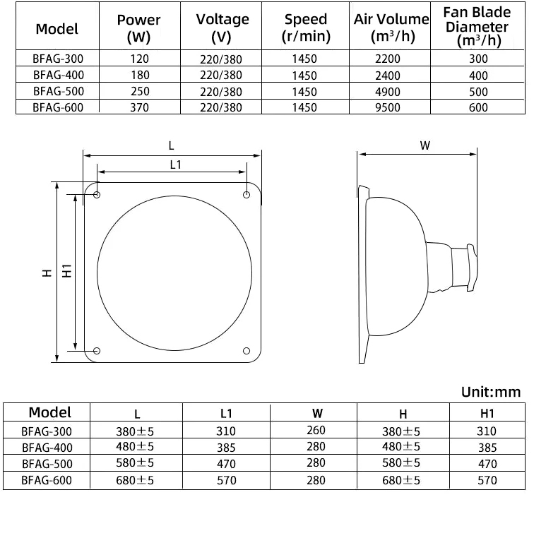 Axial Flow Fan, BFAG, Explosion-Proof, IP65 - detail 2