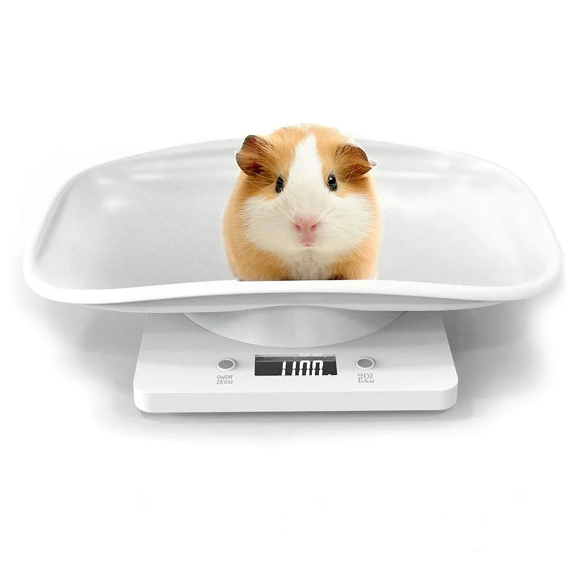 22lb Farm Livestock Chicken Cat Dog Bird Mouse Electronic Small Pet Weighing  Animal Weight Scale - Buy Animal Weighing Scale,Animal Weight Scale,Pet  Scale Product on 