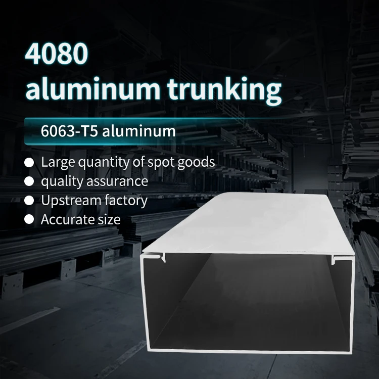4080 Aluminum Alloy groove Aluminum Profile Trunking 50100/2850 Lamp Through U-shaped Trunking manufacture