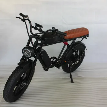 Jetson 20 Inch Electric Bicycle 48v 750w Aluminum Alloy Frame Electric Dirt Bikes For Adults