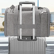 pet carrier for airplane carry on