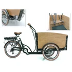 3 Wheel Trike Cargo Bike Europe Warehouse Electric Cargo Bike Mobility Baby Tricycle Other City Bicycle 3 Wheel Trike