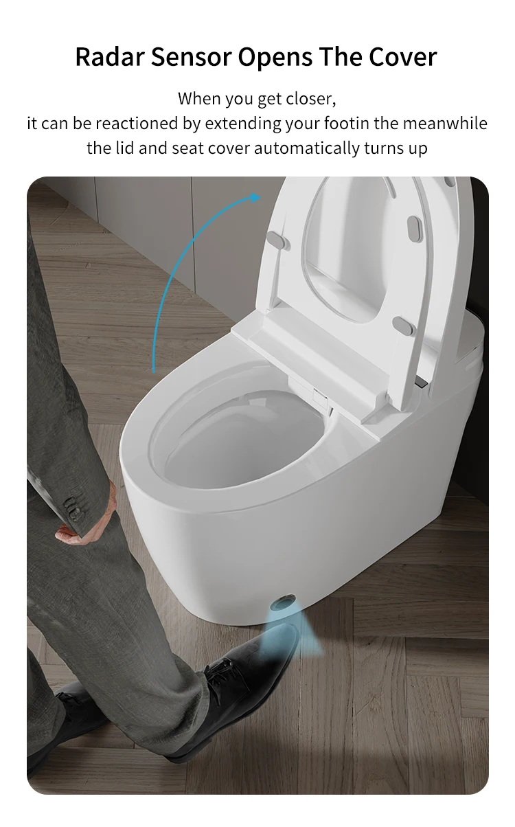 product mubi simple version bathroom smart toilet ceramic sanitary wc electric automatic intelligent bidet smart toilet-57